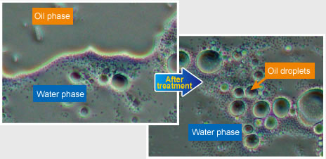 Microscopic photo of biodegradation process