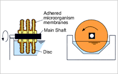 Activated sludge process versus rotating biological contactors in