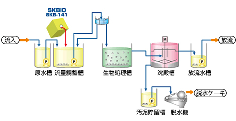 SKBiO （排水処理用微生物製剤）の製品説明