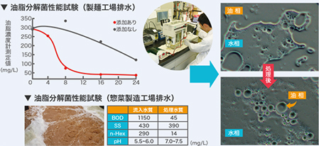 ③ 食品工場における油脂分解菌活用による減容化事例